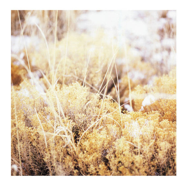 Mamiffer - The Brilliant Tabernacle (LP, Album)
