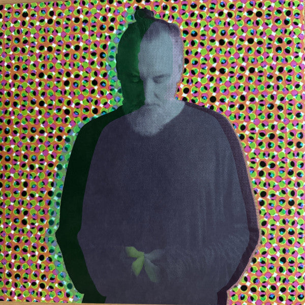 Fink - Beauty In Your Wake (Acoustic) (LP, Album)