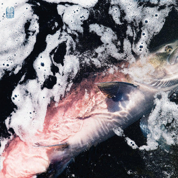 Jessika Kenney & Eyvind Kang - Azure (LP, Album)