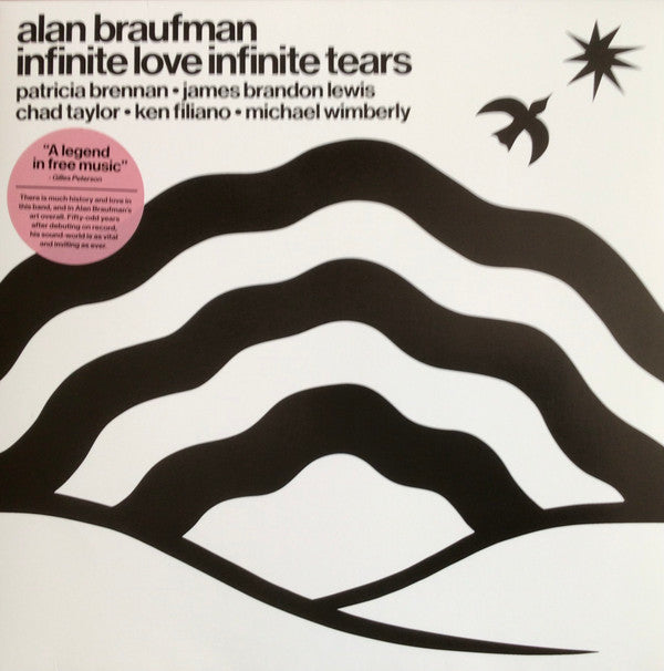 Alan Braufman - Infinite Love Infinite Tears (LP, Album)