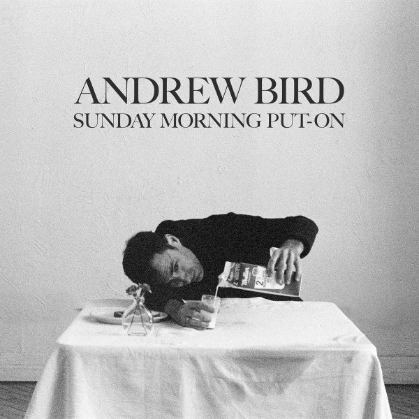 Andrew Bird Trio - Sunday Morning Put-On (CD, Album)
