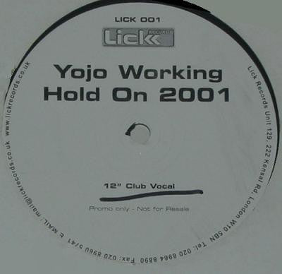 Yojo Working - Hold On 2001 (12", Promo)