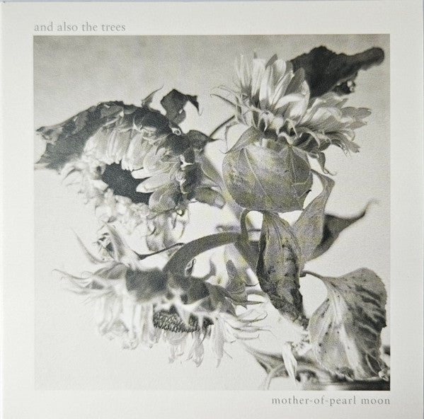 And Also The Trees - Mother-Of-Pearl Moon (CD, Album)