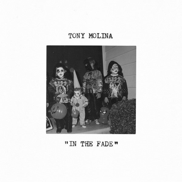 Tony Molina - In The Fade (LP, Album)