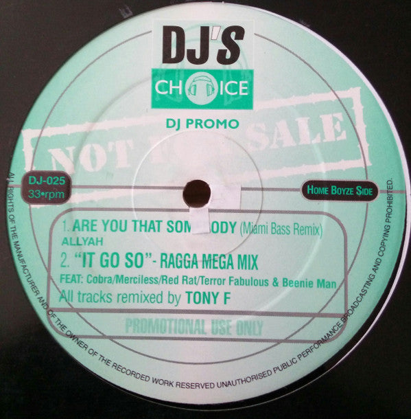 Various - DJ's Choice Vol. 25 (12", Promo, Unofficial)