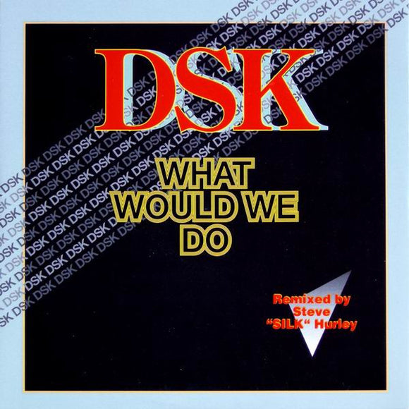DSK - What Would We Do (12