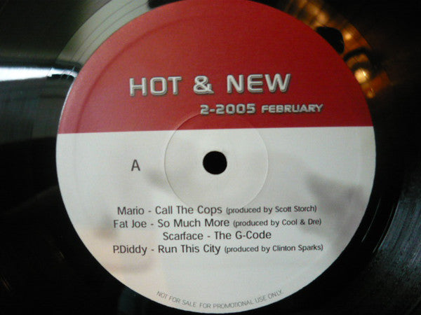 Various - Hot & New 2-2005 February (12", Promo)