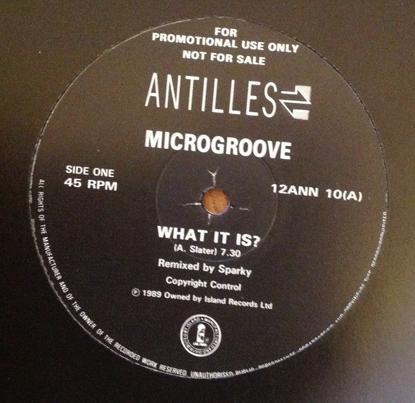 Microgroove - What It Is? (12", Promo)