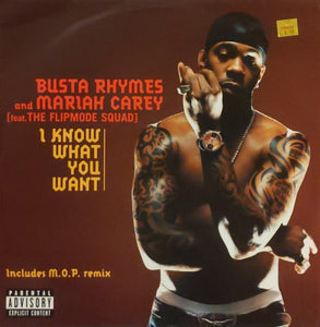 Busta Rhymes And Mariah Carey Feat. The Flipmode Squad* - I Know What You Want (12", Single)