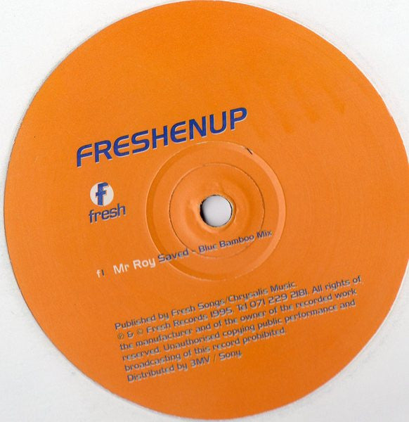 Mr. Roy - Saved (12", S/Sided)