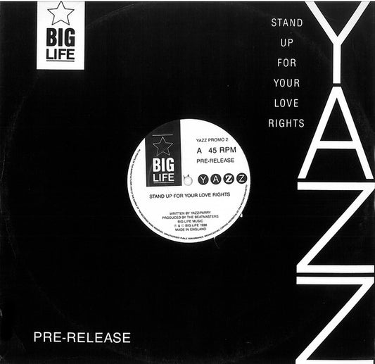 Yazz - Stand Up For Your Love Rights (12", Promo)
