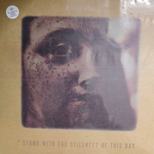 Elizabeth Anka Vajagic - Stand With The Stillness Of This Day (LP, Album)