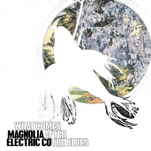 Magnolia Electric Co* - What Comes After The Blues (CD, Album)