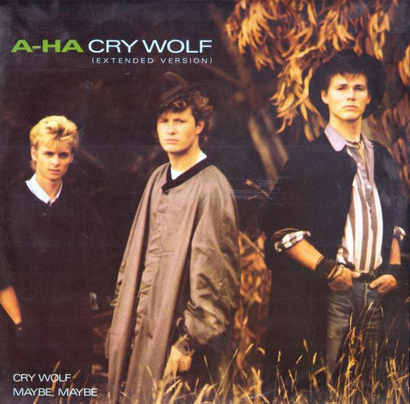 a-ha - Cry Wolf (12
