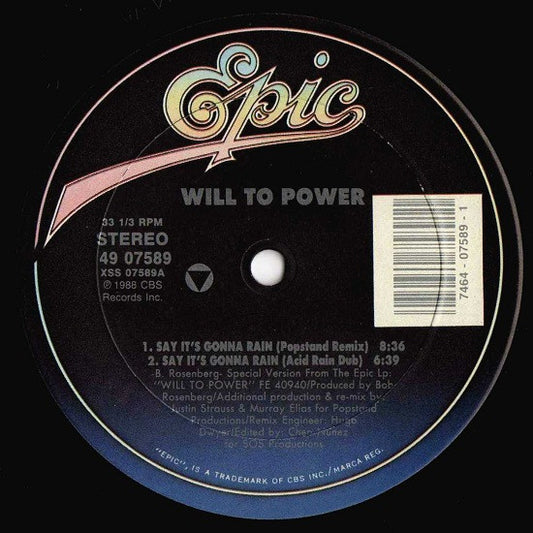 Will To Power - Say It's Gonna Rain (New Remixes) (12")