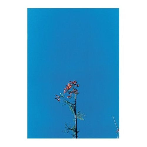 Joanna Newsom - Joanna Newsom & The Ys Street Band E.P. (12", EP)