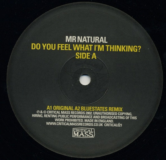 Mr Natural* - Do You Feel What I'm Thinking? (12")