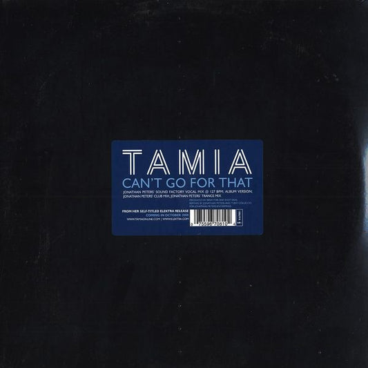 Tamia - Can't Go For That (12")