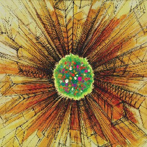 Digitonal - The Centre Cannot Hold (12")