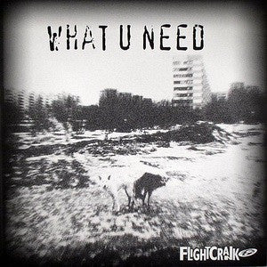 Flightcrank - What U Need (12", Single)