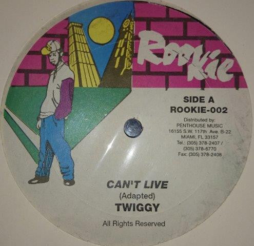 Twiggy - I Can't Live (12", Maxi)