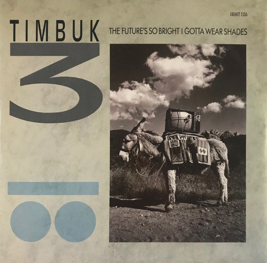 Timbuk 3 - The Future's So Bright, I Gotta Wear Shades (12")