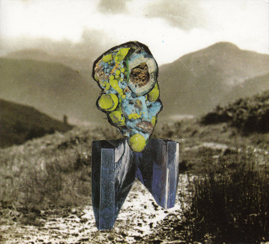 Richard Dawson - The Glass Trunk (CD, Album, RE)