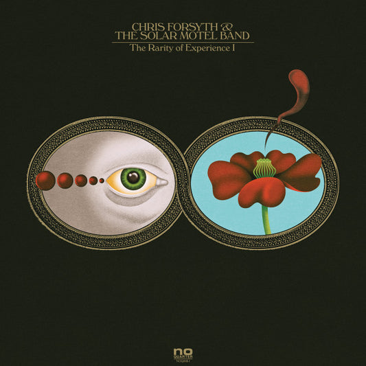 Chris Forsyth & The Solar Motel Band - The Rarity Of Experience (2xLP)