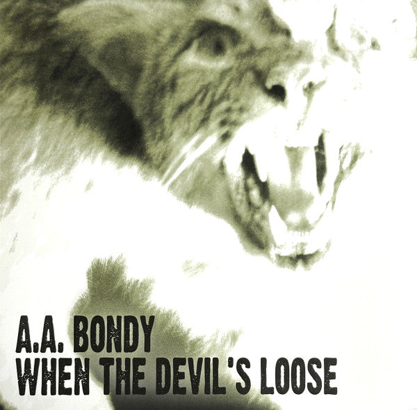 A.A. Bondy - When The Devil's Loose (LP, Album, Ltd)