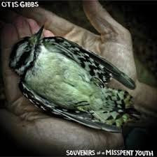 Otis Gibbs - Souvenirs Of A Misspent Youth (CD, Album)