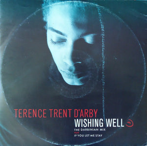 Terence Trent D'Arby - Wishing Well (The Darbinian Mix) (12")