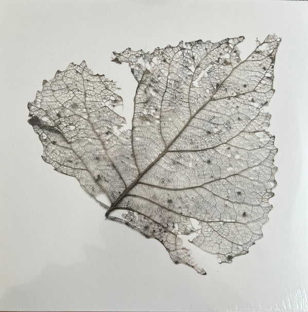 The Telescopes - Hungry Audio Tapes (LP, RSD, Mil)