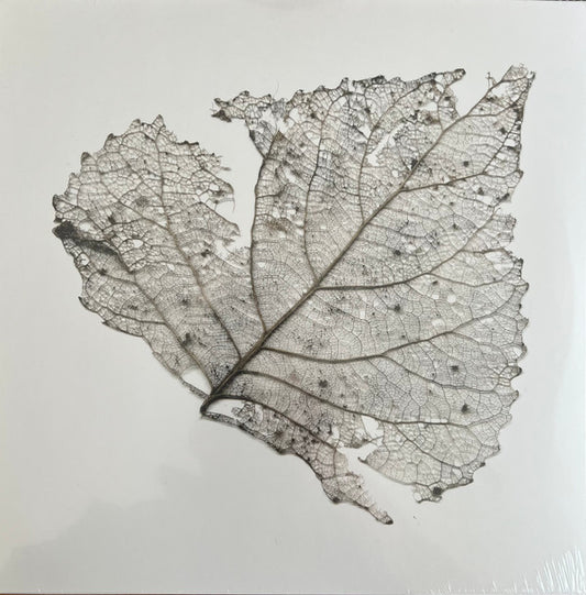 The Telescopes - Hungry Audio Tapes (LP, RSD, Mil)