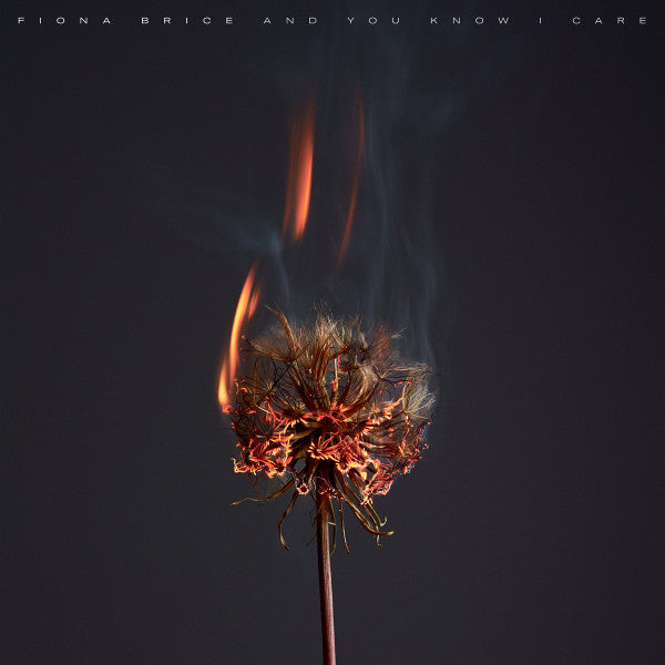 Fiona Brice - And You Know I Care (LP, Album)