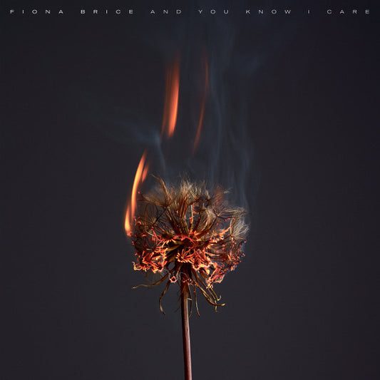 Fiona Brice - And You Know I Care (LP, Album)