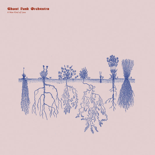 Ghost Funk Orchestra -  A New Kind Of Love (CD, Album)