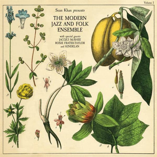 Sean Khan - Sean Khan Presents The Modern Folk & Jazz Ensemble (LP)