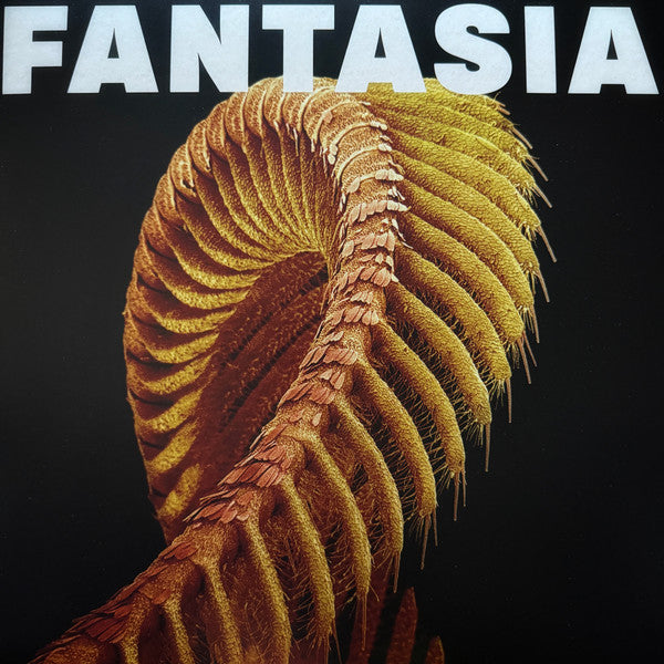 Slift - Fantasia (2xLP, Ltd, Sta)
