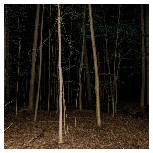 Express Rising - Fixed Rope (LP, Album)