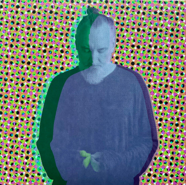 Fink - Beauty In Your Wake (Acoustic) (LP, Album, Gre)