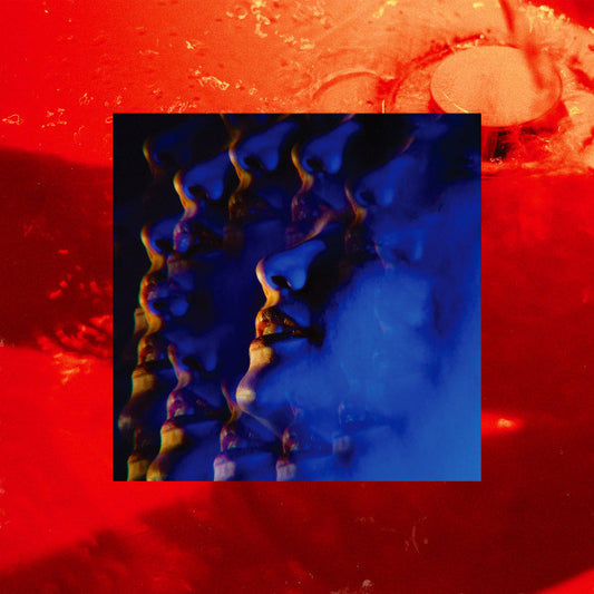 Little Hag - Leash (LP, Album)