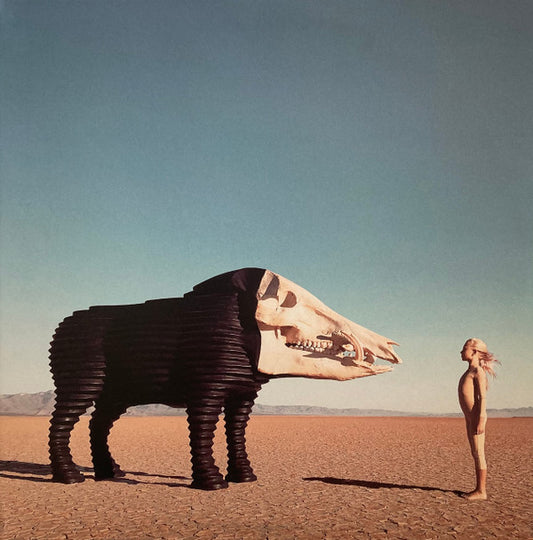 Man Man - Dream Hunting In The Valley Of The In-Between (LP, Album, Ltd, Pin + LP, S/Sided, Etch)