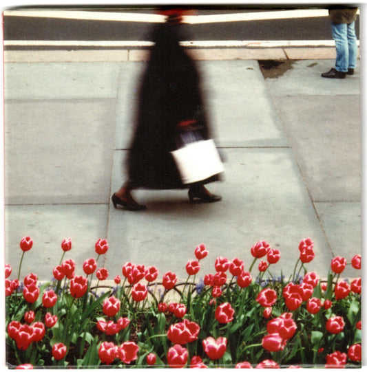 Air Waves - The Dance (CD)