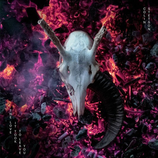 Colin Stetson - The Love It Took To Leave You (CD, Album)