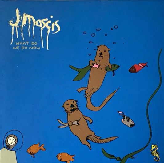 J Mascis - What Do We Do Now (CD, Album)