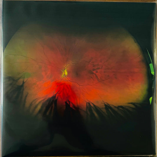 Greg Puciato - Mirrorcell (2xLP, Album, Whi)
