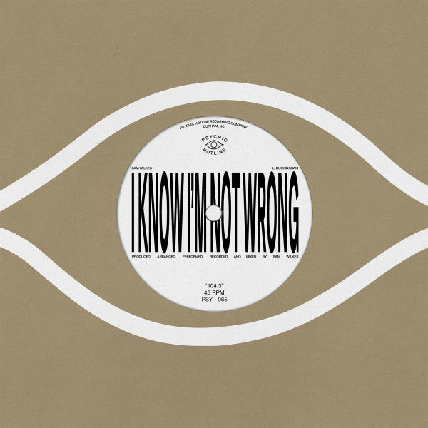 Sam Wilkes (2) - 104.3 (7")