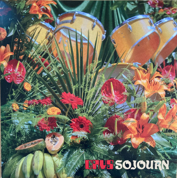 Cavs - Sojourn (LP, Album, Ora)