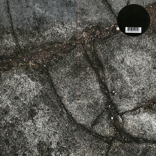 Boss Hog - Brood X (LP, Album)