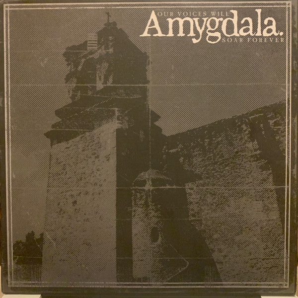 Amygdala (12) - Our Voices Will Soar Forever (LP, Album, Bla)